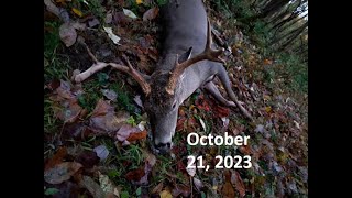 23 Buck Video [upl. by Aceissej]