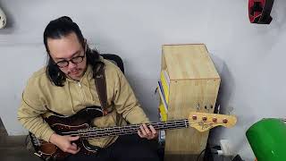 Steely Dan  Peg Bass Cover [upl. by Llehsim]