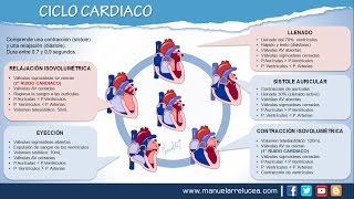 CICLO CARDIACO [upl. by Judith293]