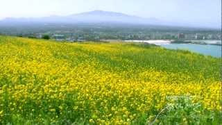 장사익 노래  봄날은 간다  함덕해안의 봄 Hamdeok Beach Jeju Korea 20120412 One Fine Spring Day [upl. by Namor]