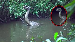 30 Animals Believed To Be Extinct Caught Alive On Camera [upl. by Farlie]