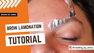 Brow Lamination Tutorial for Perfect Brows  Brows By Amna [upl. by Nnahaid]