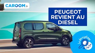 PEUGEOT REVIENT AU DIESEL ⛽ FORD PUMA ÉLECTRIQUE amp NOUVEAU NISSAN JUKE ⚡ ACTU AUTO DU 08032024 [upl. by Anatollo673]