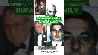 Bufalino Family amp Gambino Family Dispute Pt 2 [upl. by Felty]