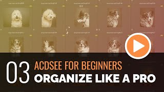 ACDSee for Beginners  03  Organize Like a Pro with Manage Mode [upl. by Annayar]