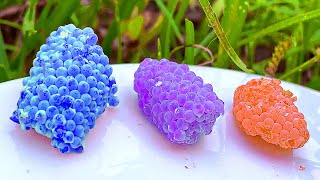 ASMR Crushed snail eggs  Apple snail Eggs 19 Minutes ASMR Relaxing Hungry And Deep Sleep🐌 [upl. by Tab]