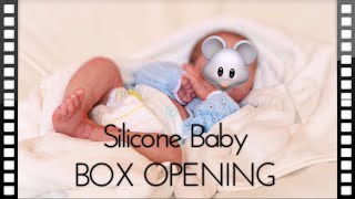 My first SILICONE BABY DOLL Box Opening Dream Baby by amazing IIORA Master Artist Silicone Jayden [upl. by Ramirolg498]