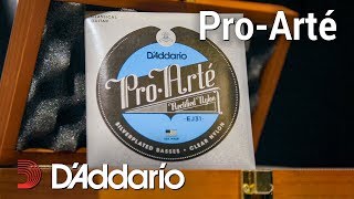 Антон Баранов о струнах D’Addario ProArté [upl. by Harret718]