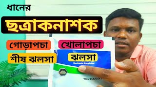 কোন রোগের জন্য কোন ছত্রাকনাশক ব্যাবহার করবেন   ছত্রাকনাশক কত প্রকারের ও কি কি জানুন। [upl. by Macknair]