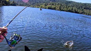 TROUT Fishing with Spoons and 2quot Minnows Including Tips amp Tricks [upl. by Us]