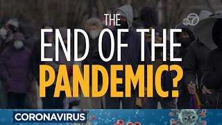 Is the end of the COVID pandemic near Heres what experts say about entering endemic phase [upl. by Kimball321]