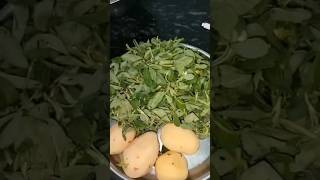 Methi ki sabji methi sabjirecipe reactionvideo cutfrom [upl. by Airamanna]