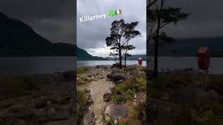 Killarney ireland killarney killarneynationalpark travel [upl. by Senskell]