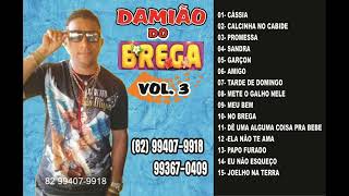 DAMIÃO DO BREGA VOL 1 CD COMPLETO [upl. by Yanaj]