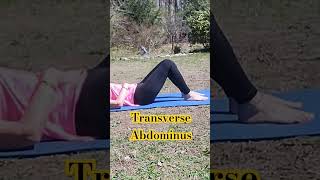 Get a Toned Tummy🧘‍♀️ Transverse Abdominus Easy Exercises❤️ fitness yoga pelvicfloorhealth [upl. by Okomot]