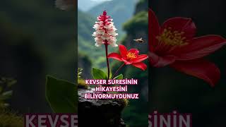 🔥KEVSER SURESİNİN HİKAYESİ hzmuhammed allah amin shortvideo short trending youtubeshorts [upl. by Ehtyde]