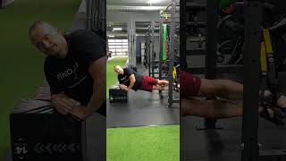 Ab Exercise  TRX Side Planks [upl. by Sanfo93]