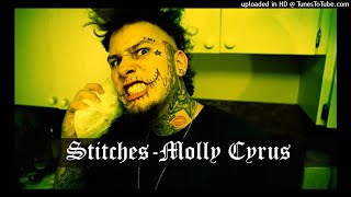 Stitches  Molly Cyrus Clean Version [upl. by Nevanod]