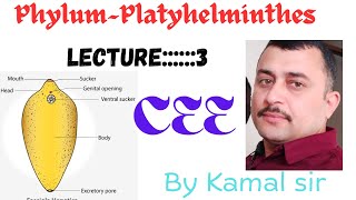 Phylum Platyhelminthes By Nepali teacher Kamal sir lecture—3 Cee Nepal [upl. by Elazaro]