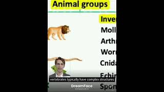 Classifying Animals in 2024 Vertebrates vs Invertebrates  Explained in Detail Generated using AI [upl. by Taima]