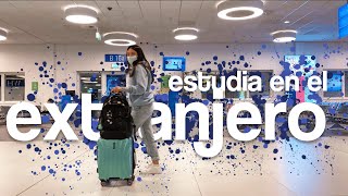 ¿cómo lograr estudiar al extranjero ✈️  guía completa [upl. by Jeth742]