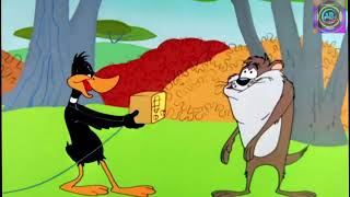 Tasmanian devil looney tunes Classic Cartoon Daffy Duck in Ducking Funny video [upl. by Stutsman]