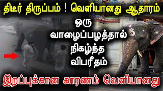 சற்றுமுன் வெளியானது ஆதாரம்  லட்சுமி யானை மருத்துவர் அதிர்ச்சி தகவல்  Lakshmi Elephant Puducherry [upl. by My]