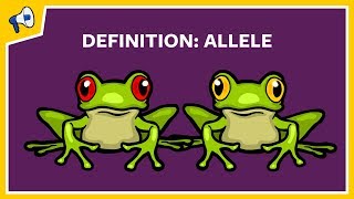 What is an Allele Quick Definition [upl. by Aiynot501]