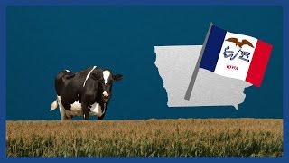 What are the Iowa caucuses  Guardian Animations [upl. by Gregory]