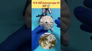 microscopic view of momo 😱 motivation ytshorts viral trending [upl. by Ahsenid938]