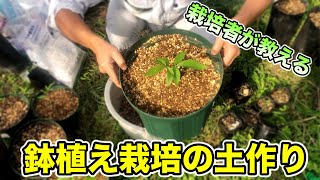 【プロ栽培者が教える】果樹の植え方！真似するだけで大丈夫！土の作り方！水はけの良い環境！土や鉢の特徴を解説します！【果樹栽培】 [upl. by Carrew]