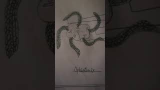 Echinodermata phylum ke all animals attractive diagrams [upl. by Vas]