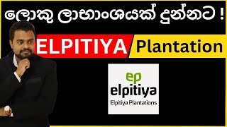 Elpitiya Plantation  Colombo share market sinhala Keshan hareshu [upl. by Gemperle]