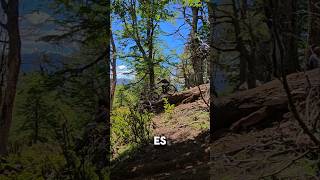 Downhill en la Patagonia Argentina mtb downhillmtb [upl. by Pazia]