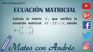 Ecuación matricial Matriz con incógnitas AX2XA [upl. by Wilt]