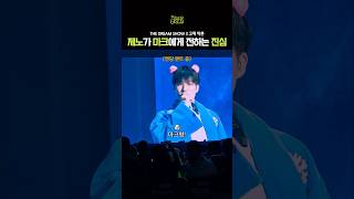 제노 때문에 울었음 nctdream 엔시티드림 제노 마크 드림쇼 시즈니 nct kpop [upl. by Gael]