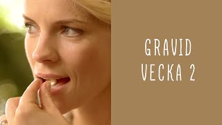 Gravid vecka 2 [upl. by Oigaib]