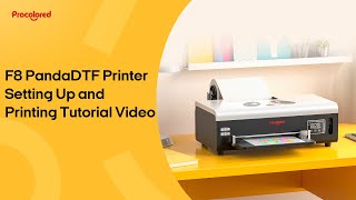 Procolored F8 Panda DTF Printer Setting Up and Printing Tutorial Video [upl. by Eerak400]