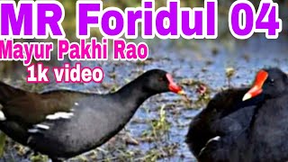 Mayur Pakhi Rao video MR Foridul 04 [upl. by Zebedee]