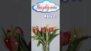 Bụi phép màu  Ngày 71 [upl. by Neeruan]