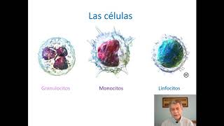 Bases conteo de leucocitos [upl. by Stoll]