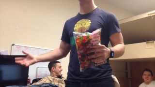 Haribo Sugar Free Gummy Bears Experiment [upl. by Aikas]