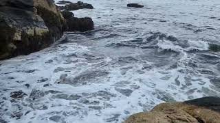 Rocky Coast near Kennebunkport USA [upl. by Rachael]