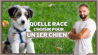 Quelle race choisir pour un 1er chien [upl. by Hedgcock]