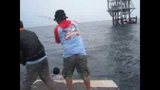 Mancing Tenggiri Tim Widodo AS [upl. by Daugherty227]