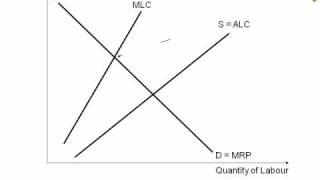 Animated diagram showing monopsony labour market [upl. by Goldstein]