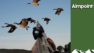 Massive Swedish Goose Hunt [upl. by Lil]