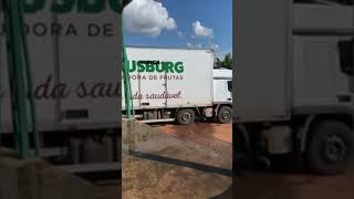 Heloísa Rosa  Ha um lugar viralizou fy caminhaoqualificado carreta [upl. by Olemrac]