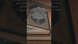 quotSeeking Help from Allah Alonequot shortsfeed shorts allah islamiceducation peace youtubeviral [upl. by Dani]