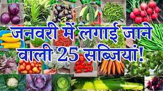 जनवरी में लगाई जाने वाली सब्ज़ियाँ  January me konsi sabji lagaye  January Month Vegetable To Grow [upl. by Loutitia689]